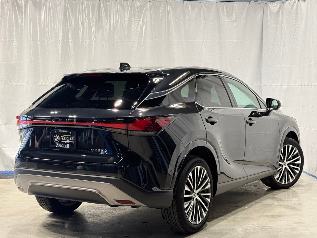 2024 LEXUS RX - Image 6