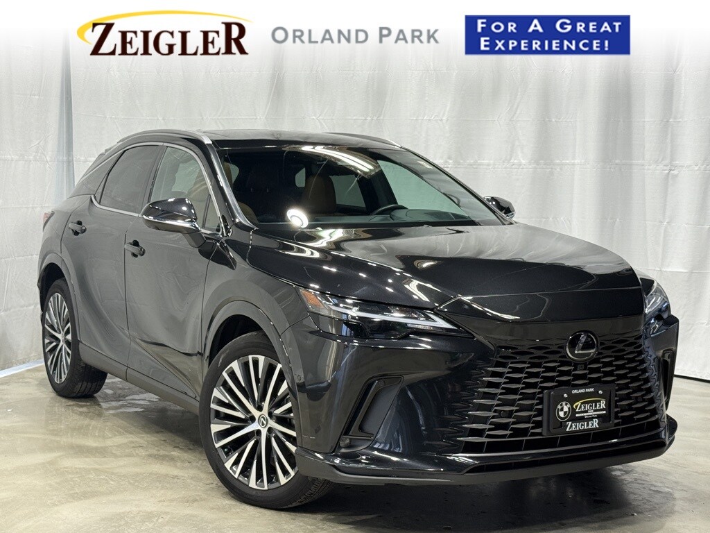 2024 LEXUS RX - Image 1