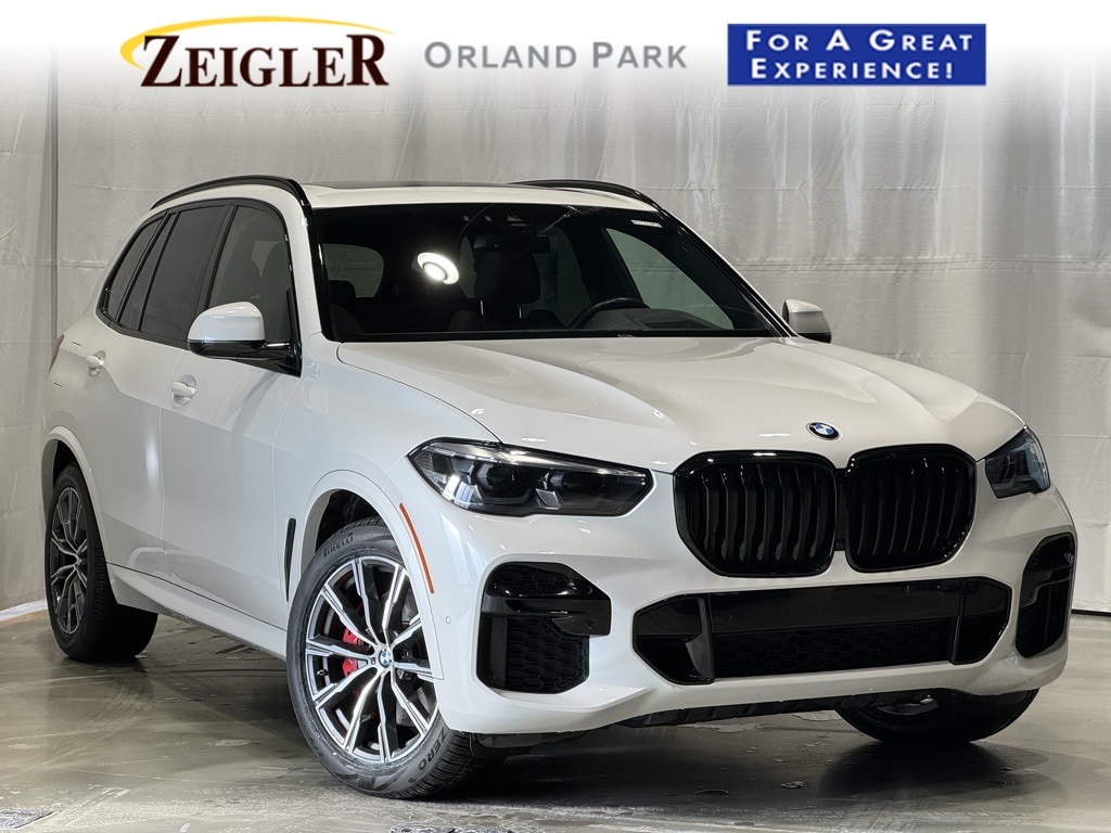 2022 BMW X5 - Image 1