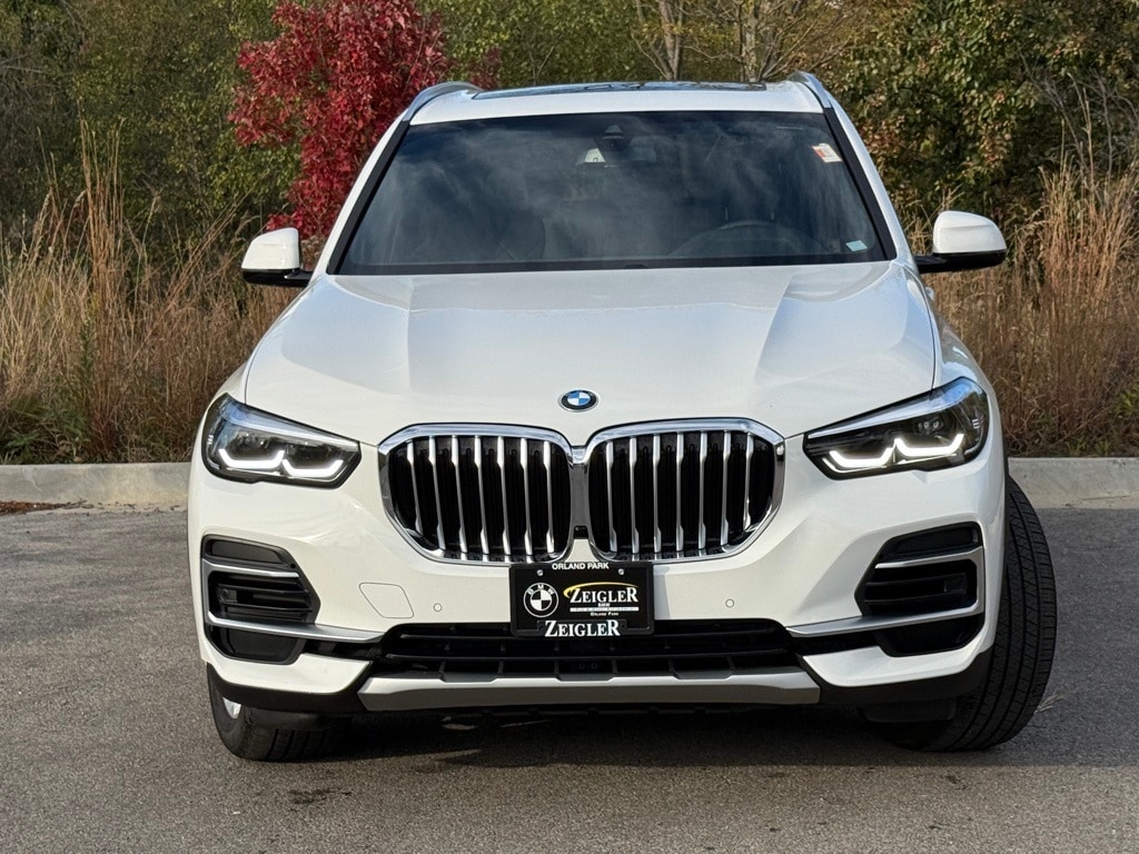 2023 BMW X5 - Image 2