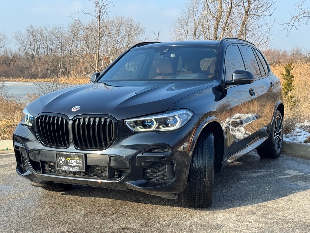 2023 BMW X5 - Image 3