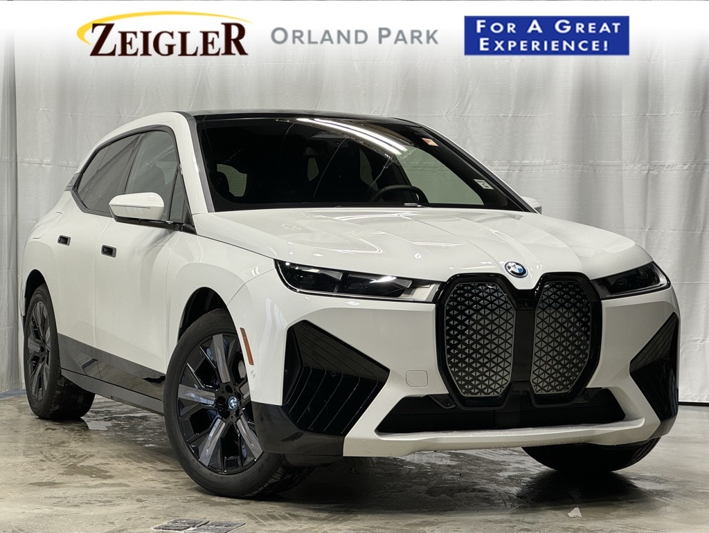 2025 BMW IX - Image 1