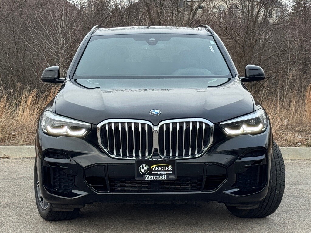 2023 BMW X5 - Image 2