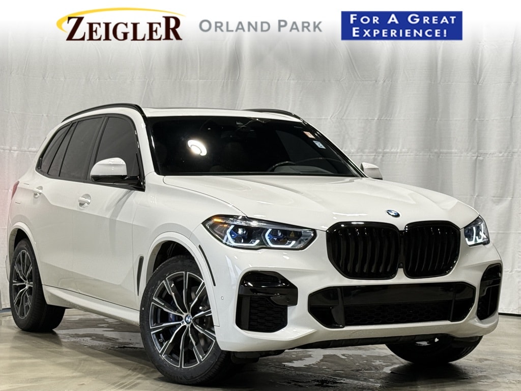 2023 BMW X5 - Image 1