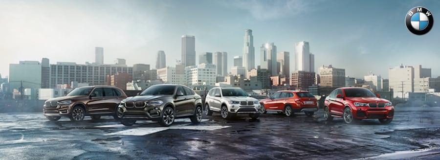 Bmw Corporate Fleet Program Request Submission Form