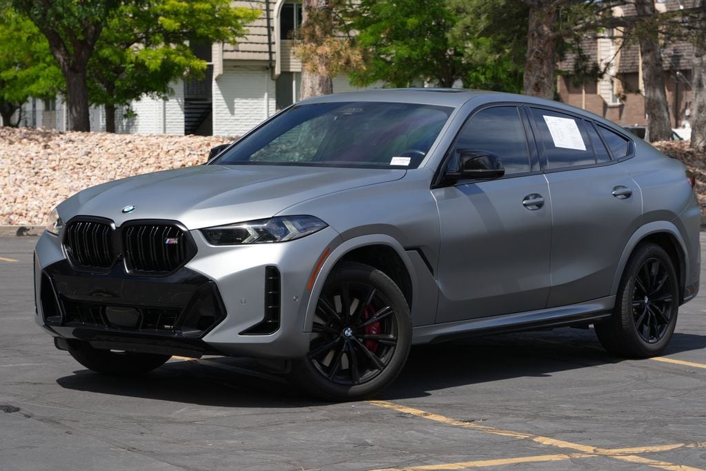 2024 BMW X6
