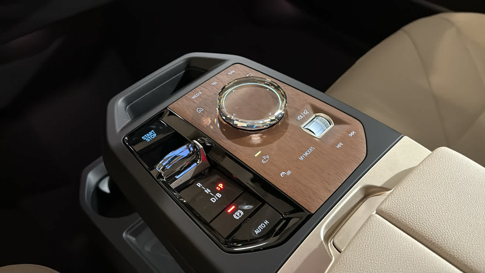 2026 BMW iX  22