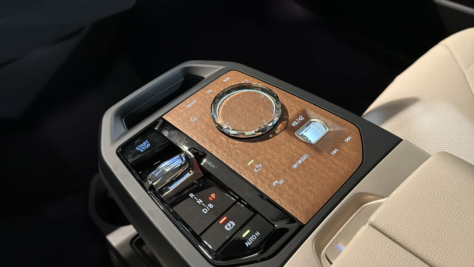 2026 BMW iX  21