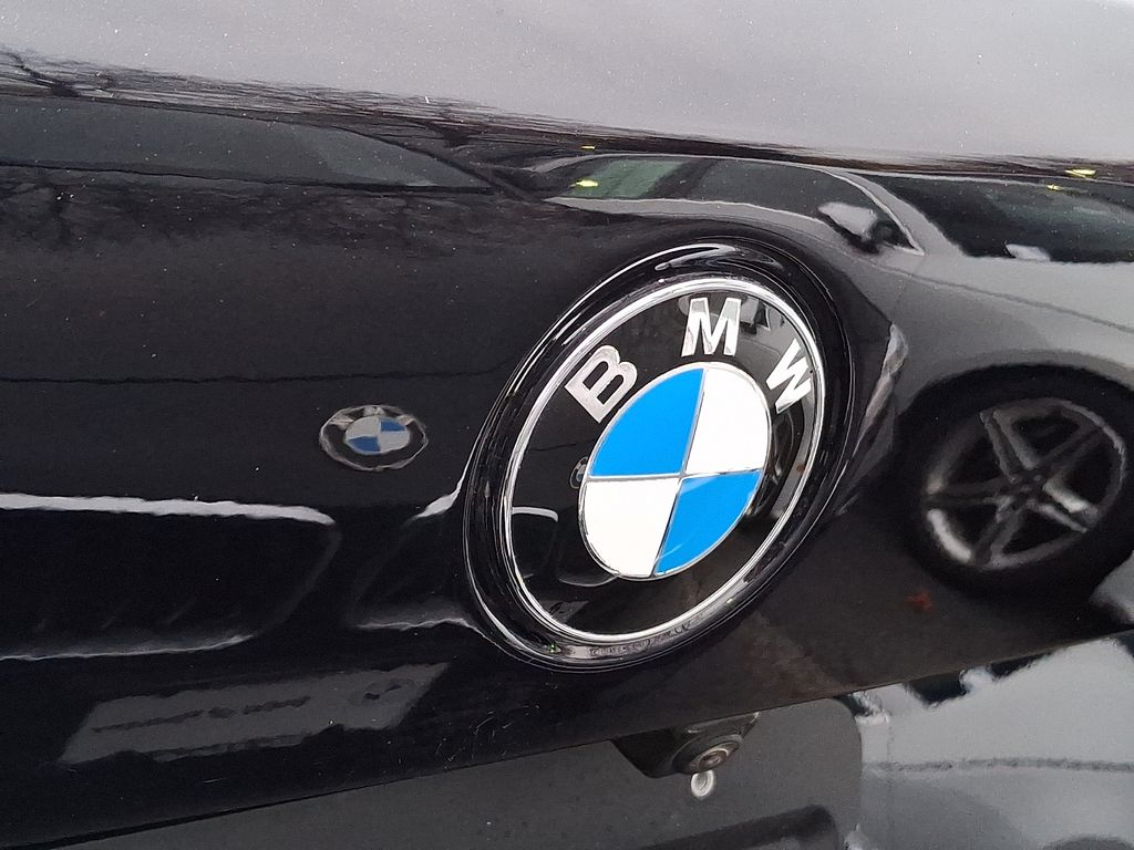 Thumbnail: 2019 BMW X5 - 30