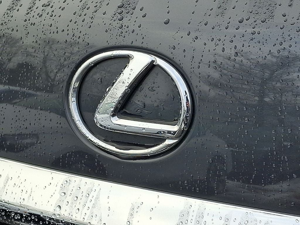 Thumbnail: 2010 Lexus RX - 29