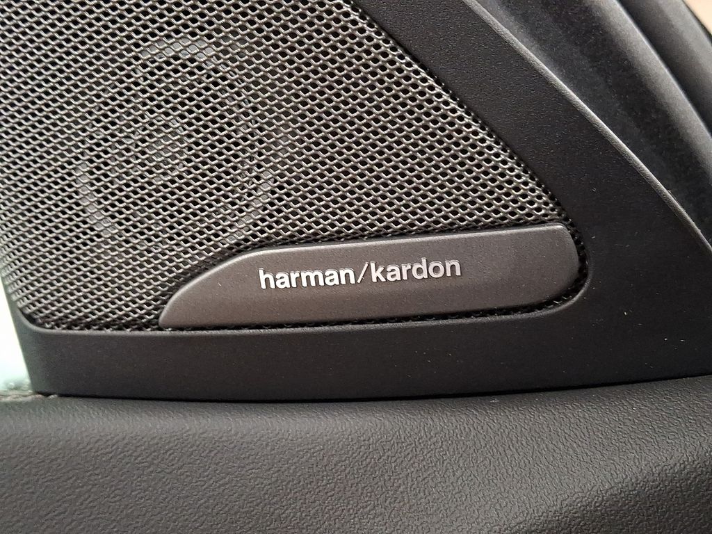 Thumbnail: 2024 BMW X6 - 24