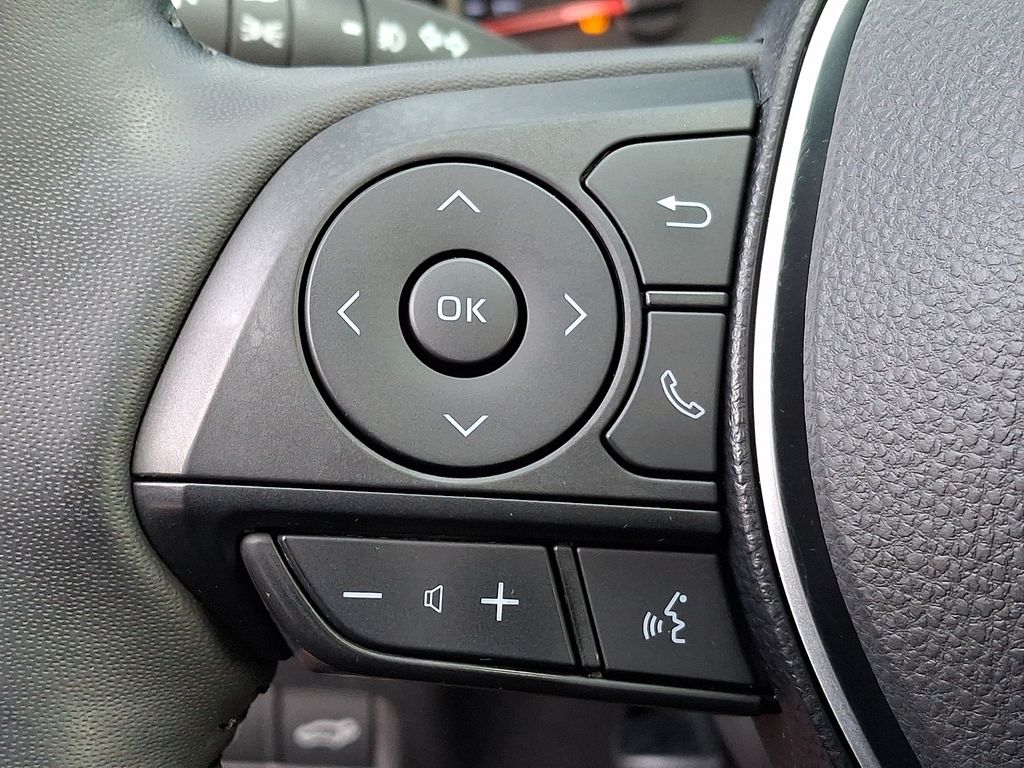 Thumbnail: 2019 Toyota RAV4 - 18