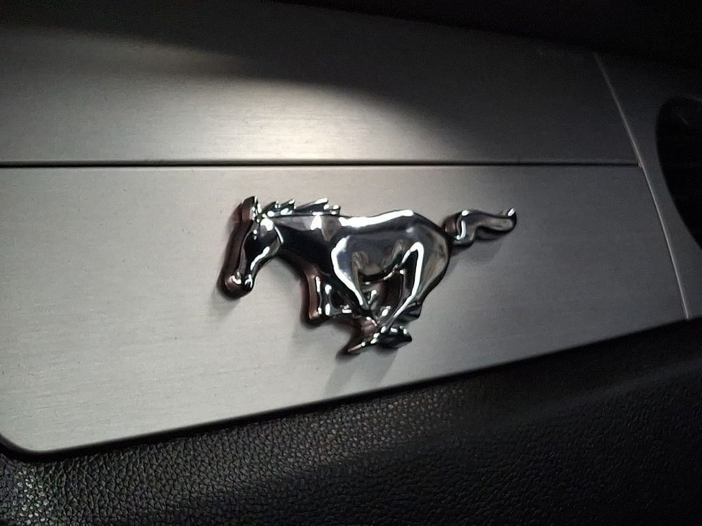 Thumbnail: 2010 Ford Mustang - 25