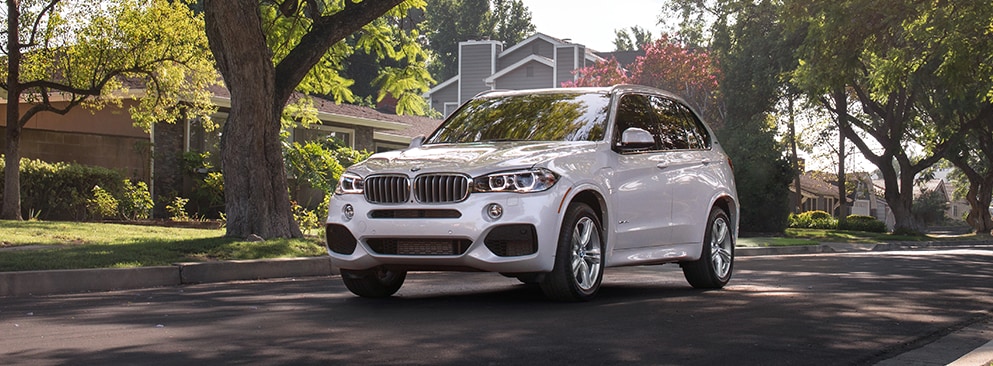 Lease A New 2024 Bmw X5 Xdrive40i Sav