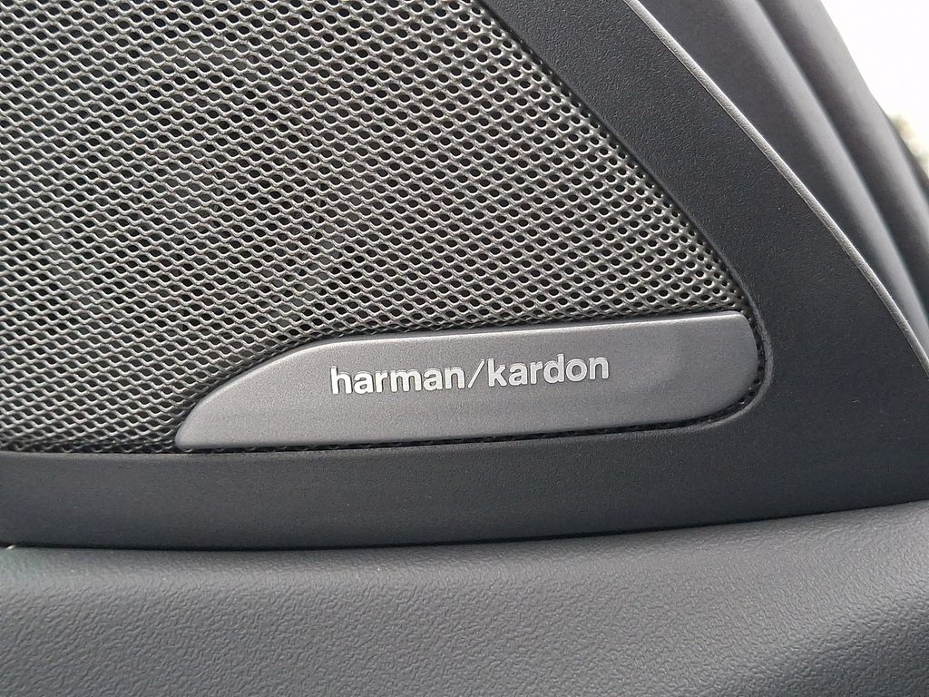 Thumbnail: 2025 BMW X6 - 25