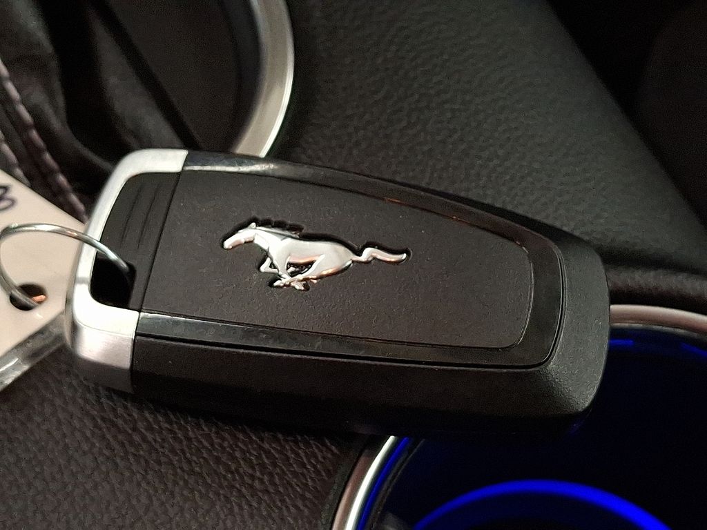 Thumbnail: 2019 Ford Mustang - 24