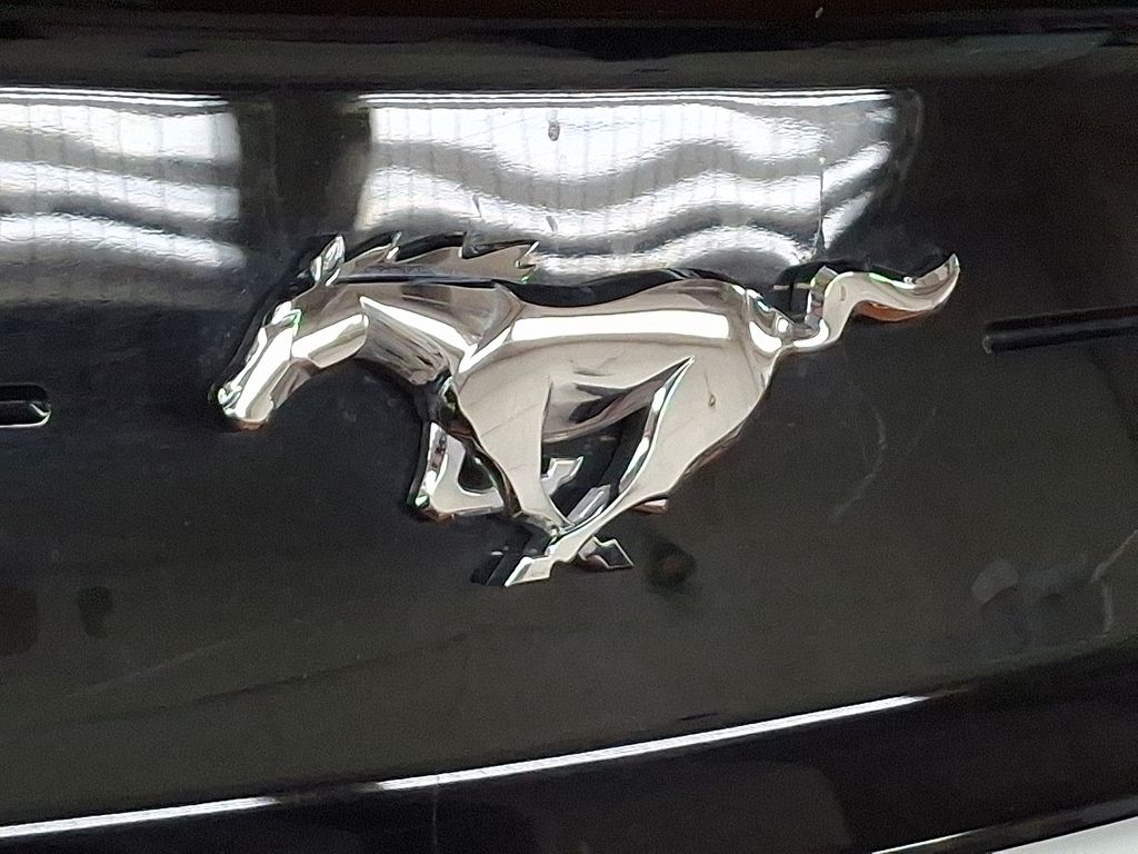 Thumbnail: 2019 Ford Mustang - 30