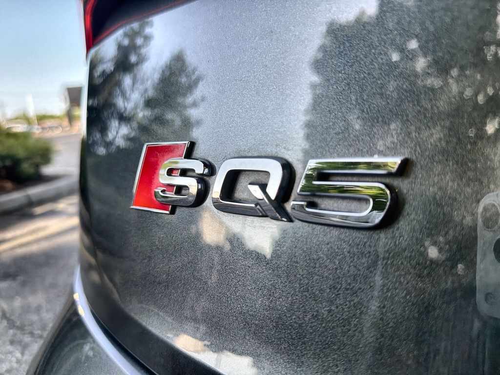 Thumbnail: 2018 Audi SQ5 - 15