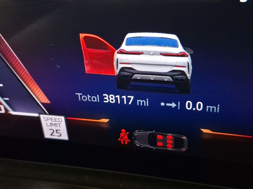 Thumbnail: 2024 BMW X6 - 16