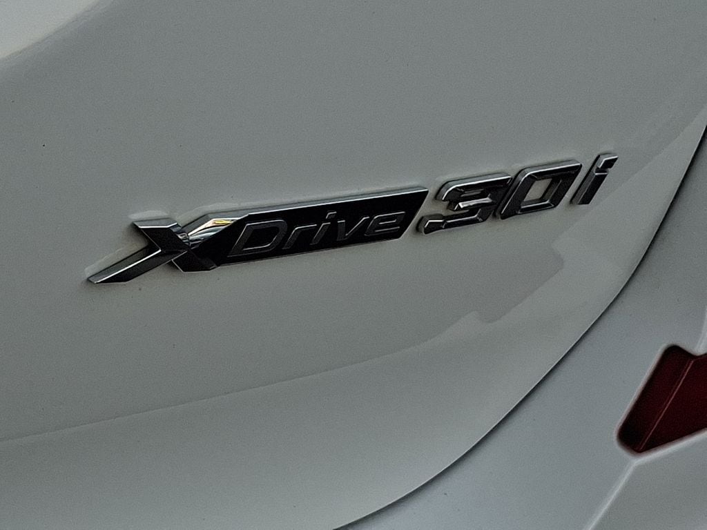 Thumbnail: 2019 BMW X3 - 30