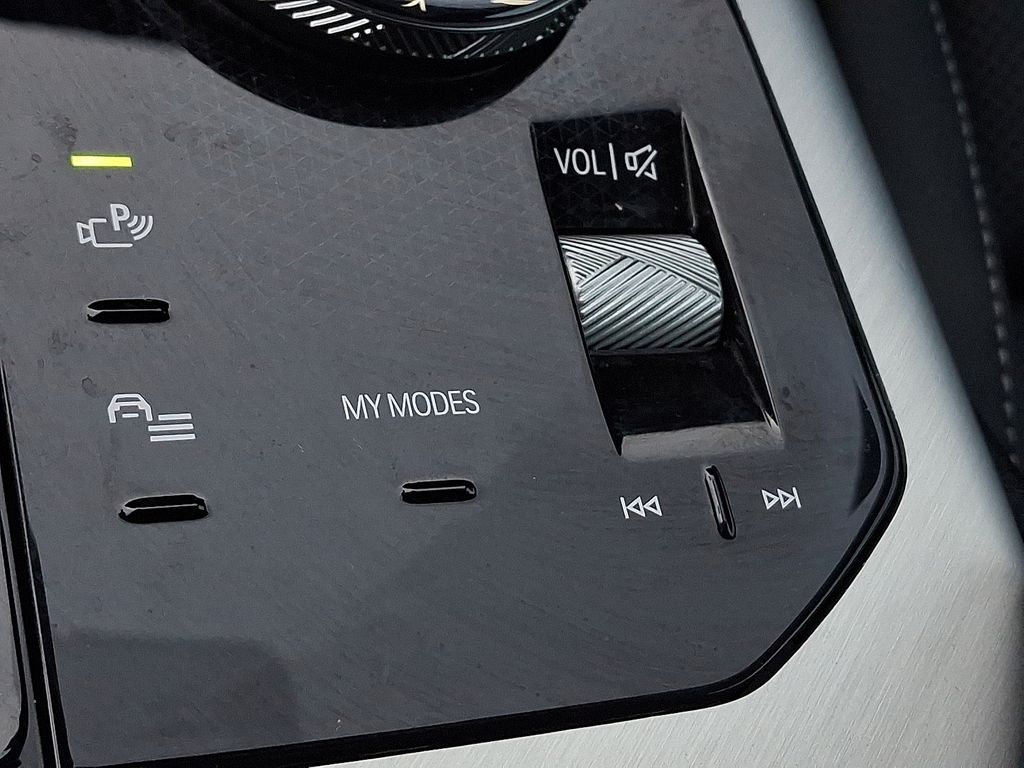 Thumbnail: 2025 BMW X3 - 19