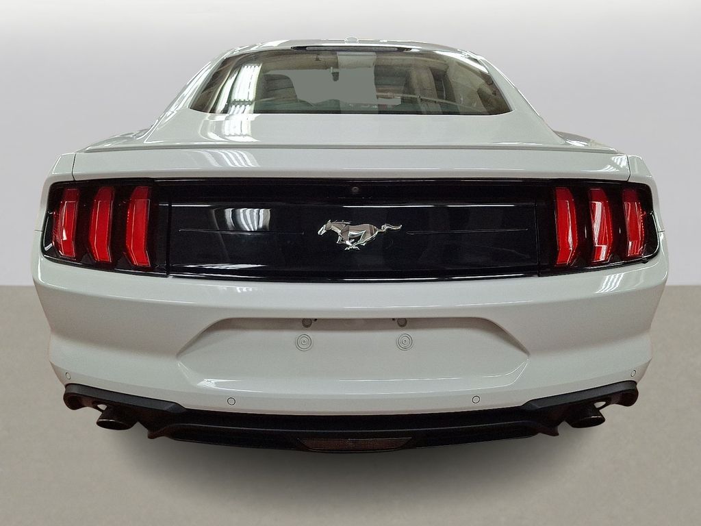 Thumbnail: 2019 Ford Mustang - 5