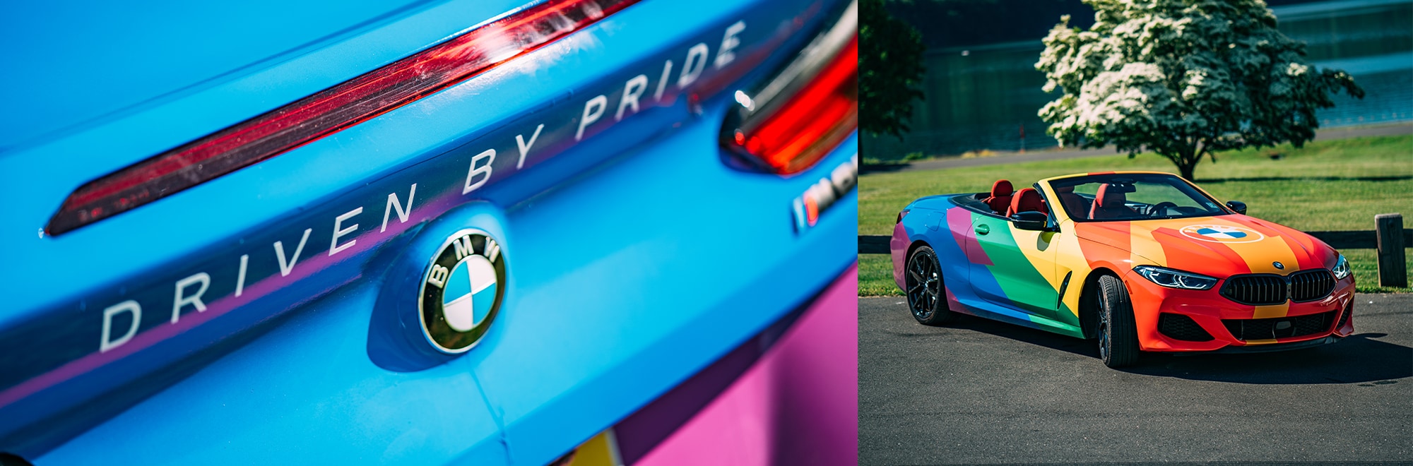 Bmw lgbt logo