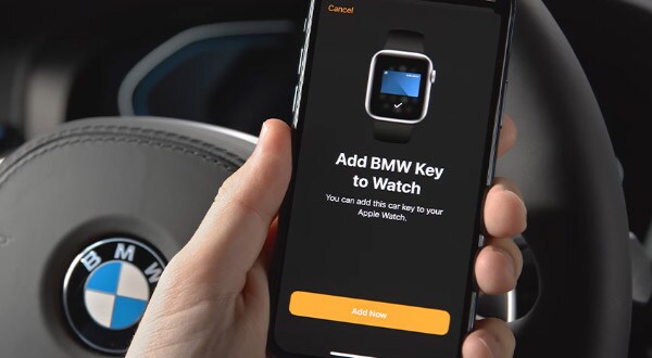 Driving Assistant Professional