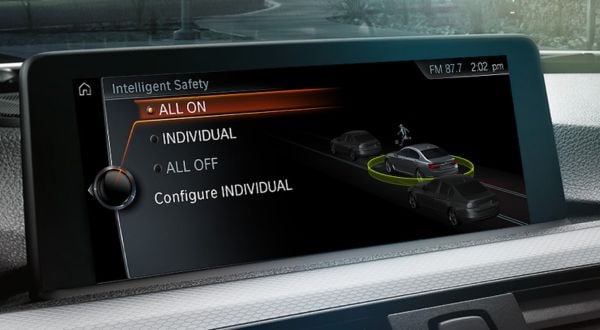 Driving Assistant Professional