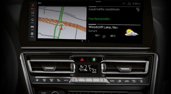 12.3 -Inch Central Information Display