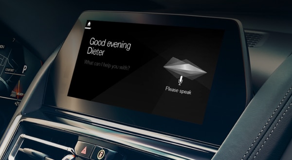 Intelligent Personal Assistant