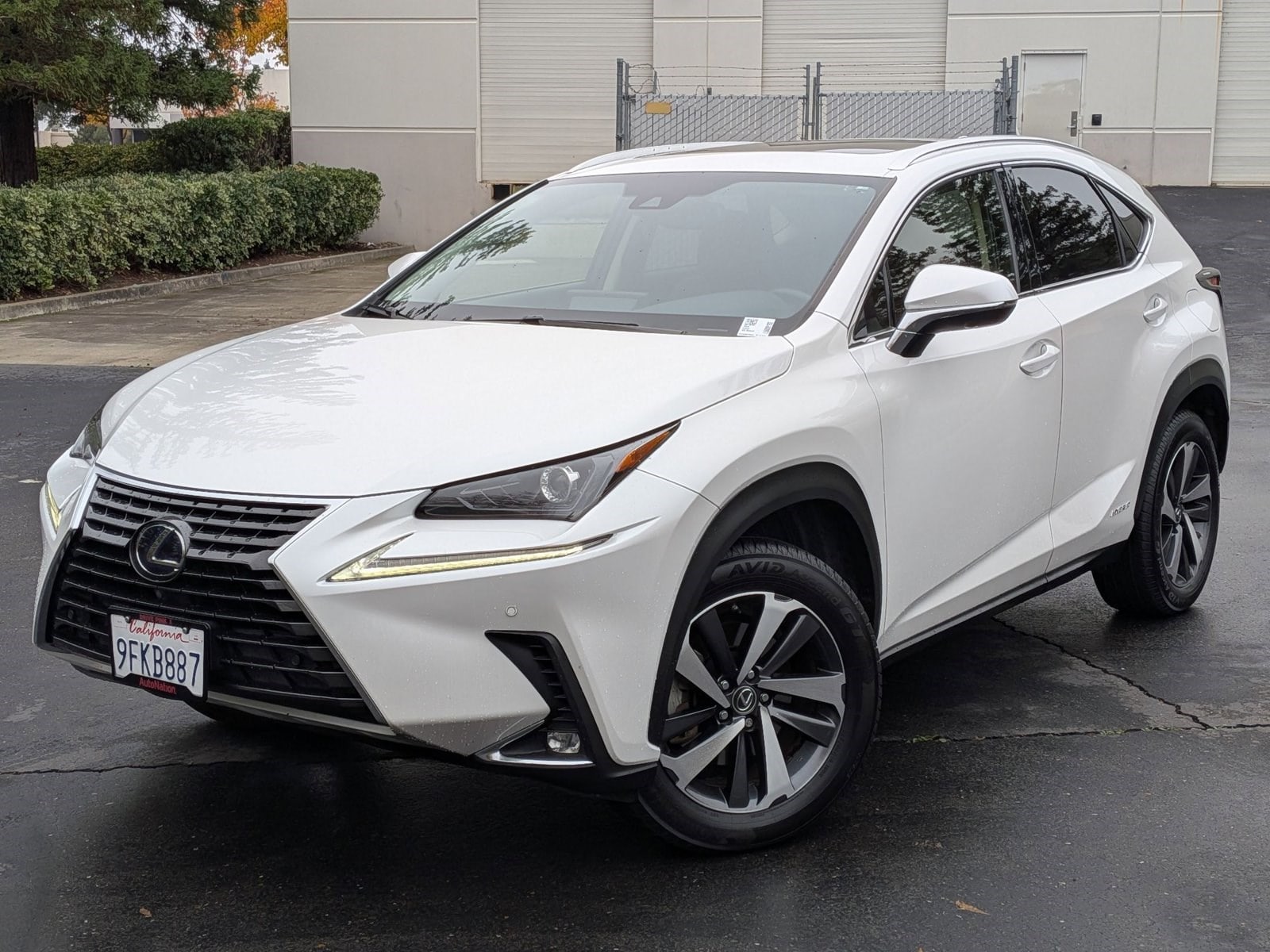 2020 Lexus NX Hybrid 300h's photo