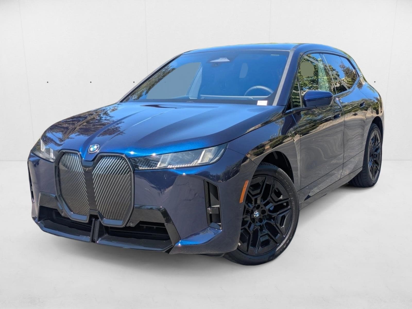 2026 BMW iX