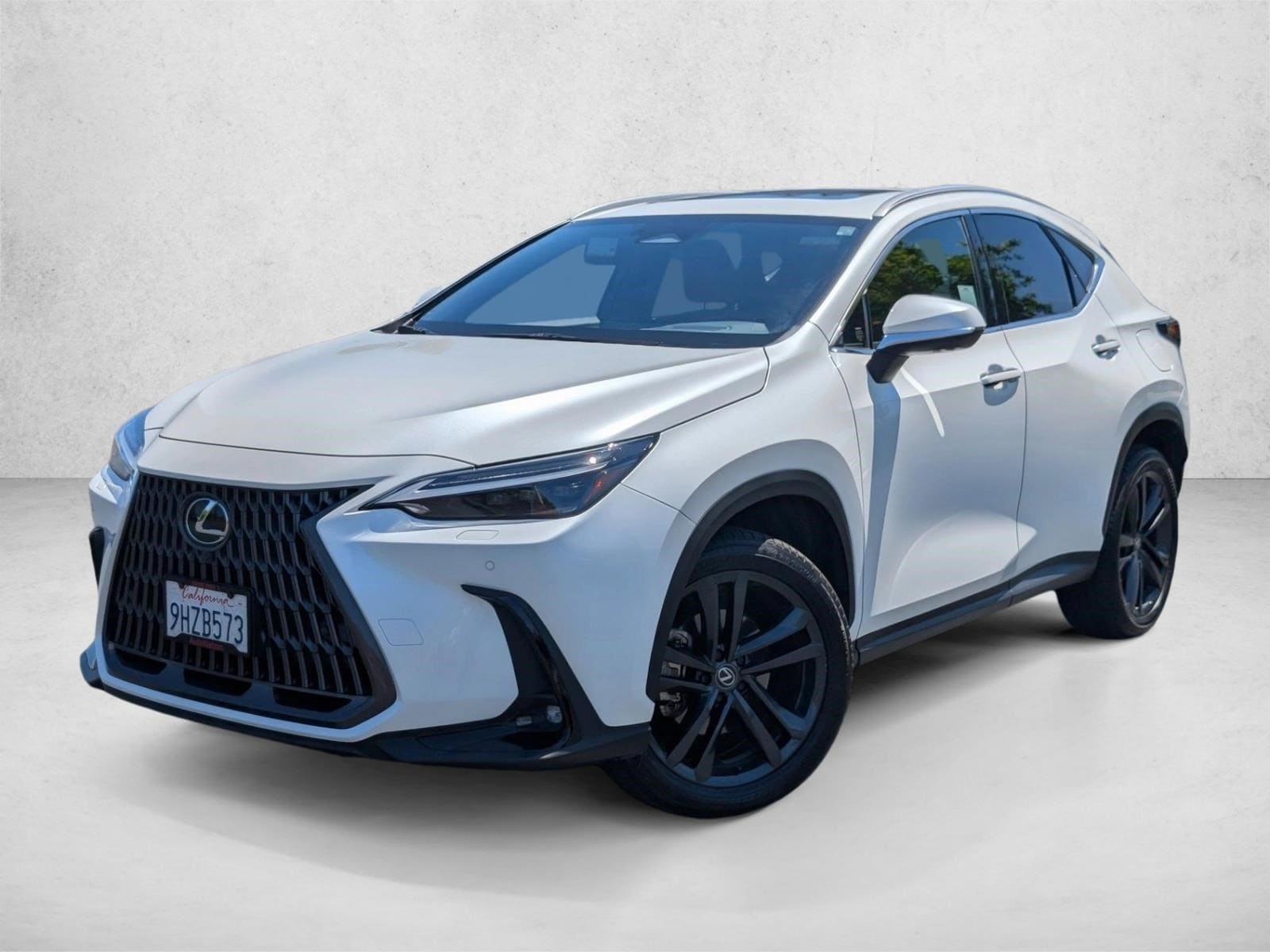 2024 Lexus NX 450h+ 450+ Luxury AWD's photo