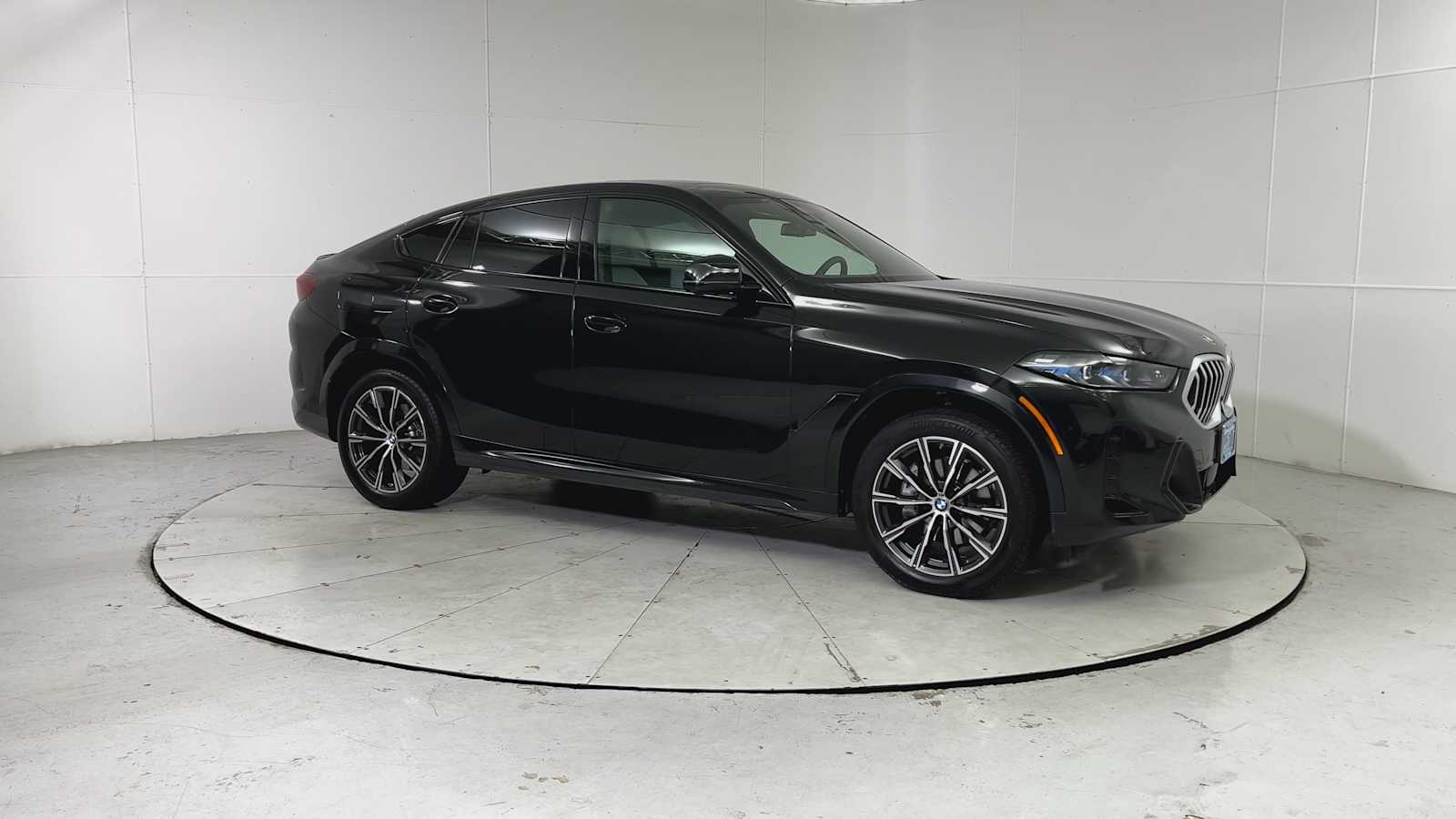 Thumbnail: 2025 BMW X6 - 8