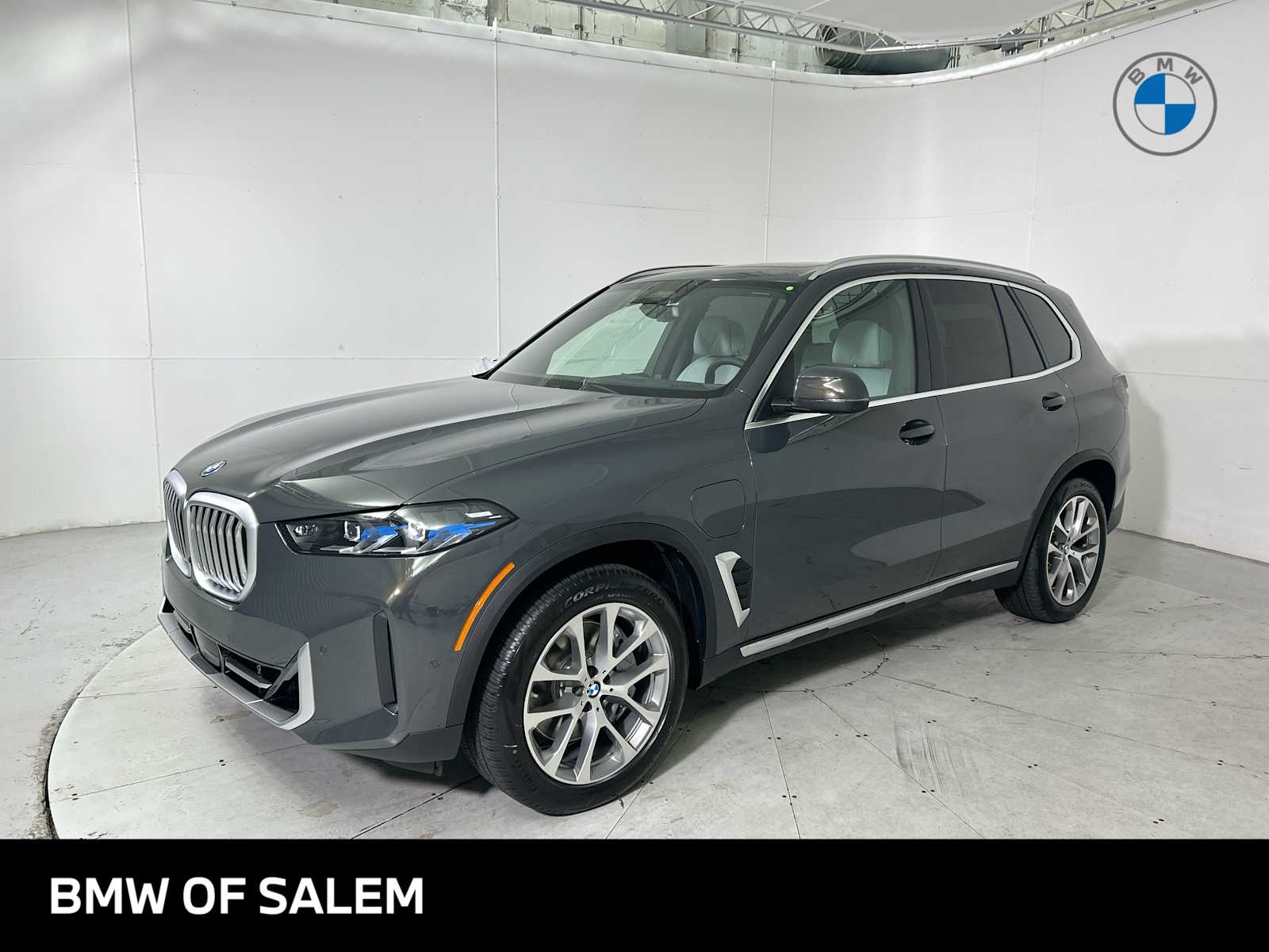 2026 BMW X5 50e's photo