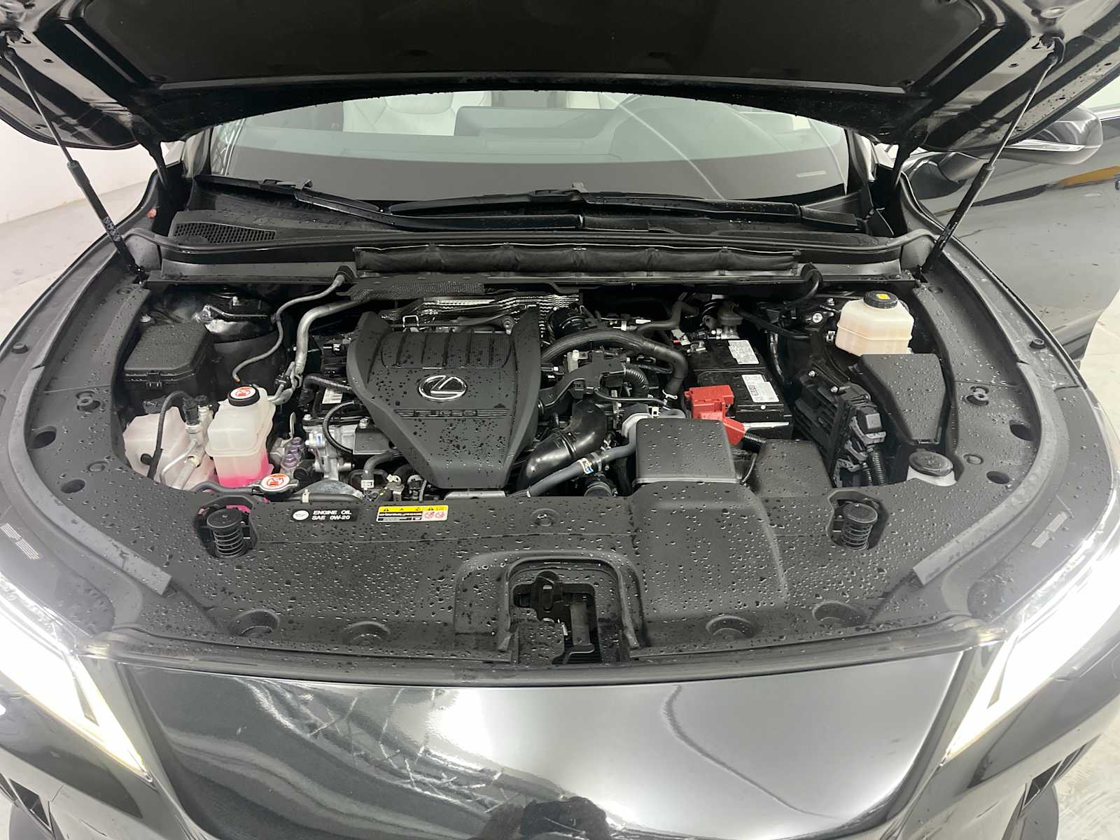 Thumbnail: 2023 Lexus RX - 24