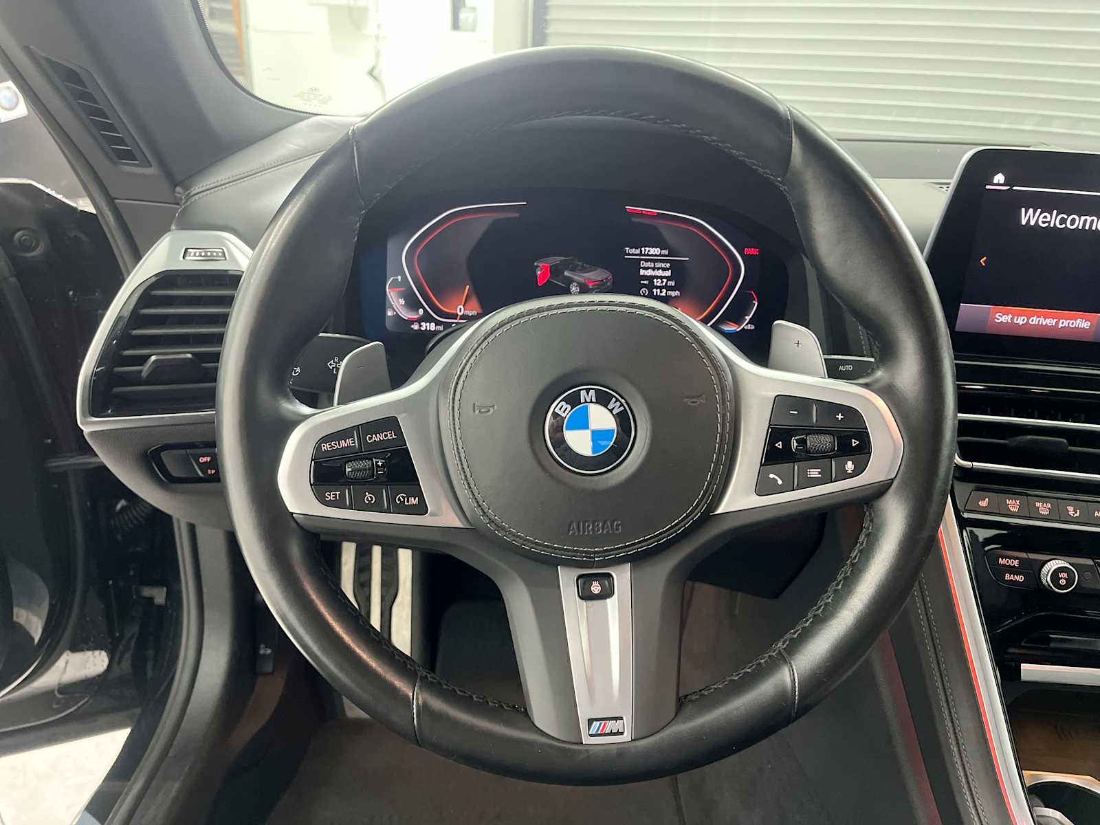 Thumbnail: 2025 BMW 8 Series - 17