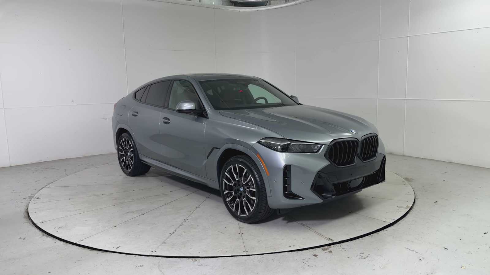 Thumbnail: 2026 BMW X6 - 8