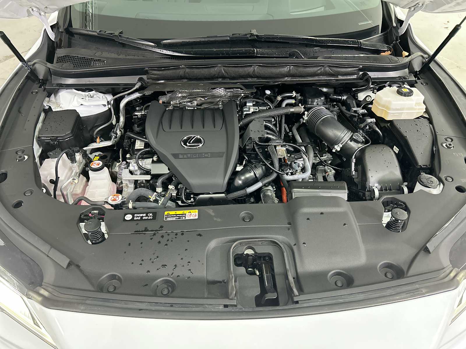 Thumbnail: 2024 Lexus RX - 18