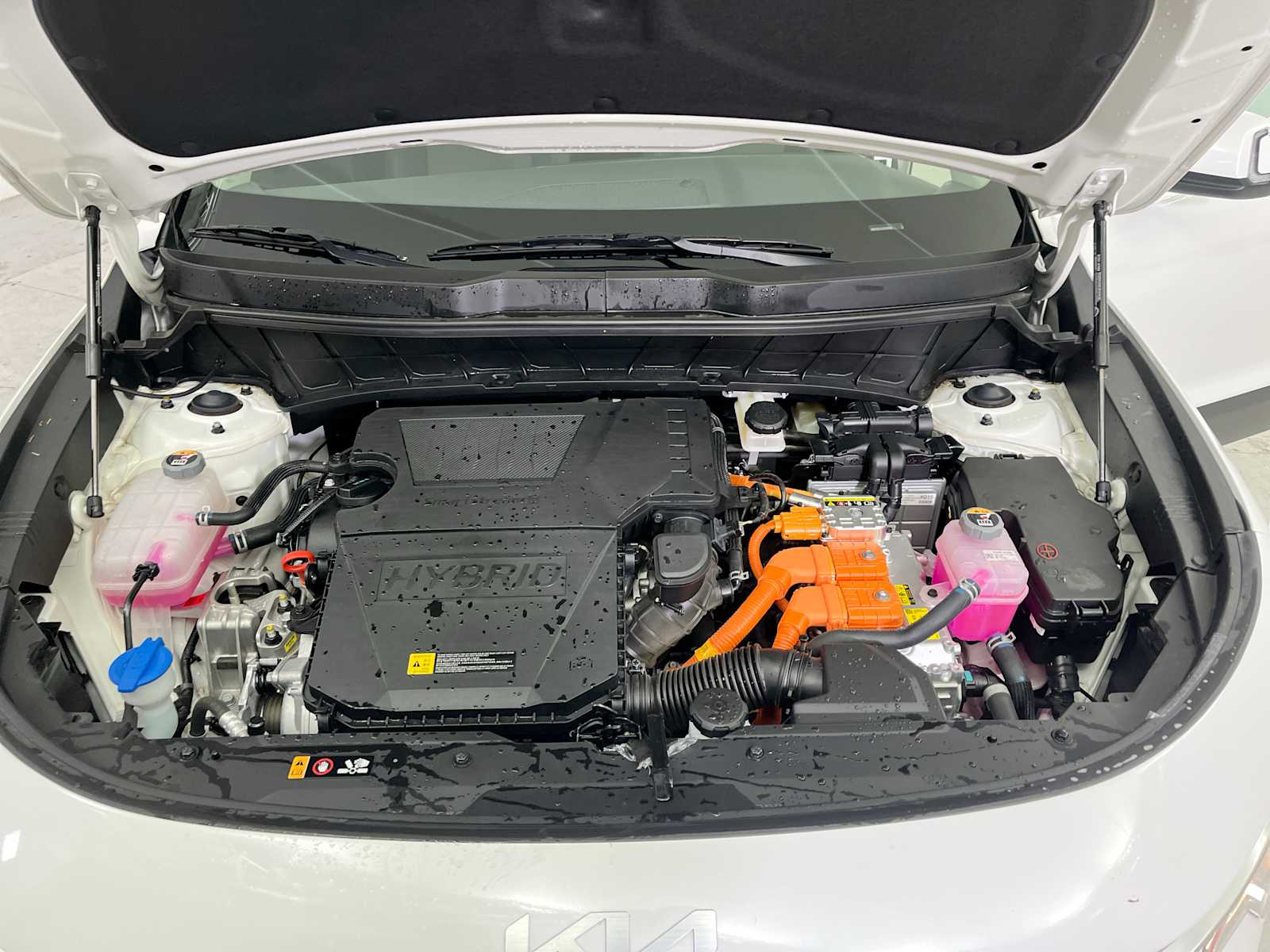 Thumbnail: 2025 Kia Niro - 18