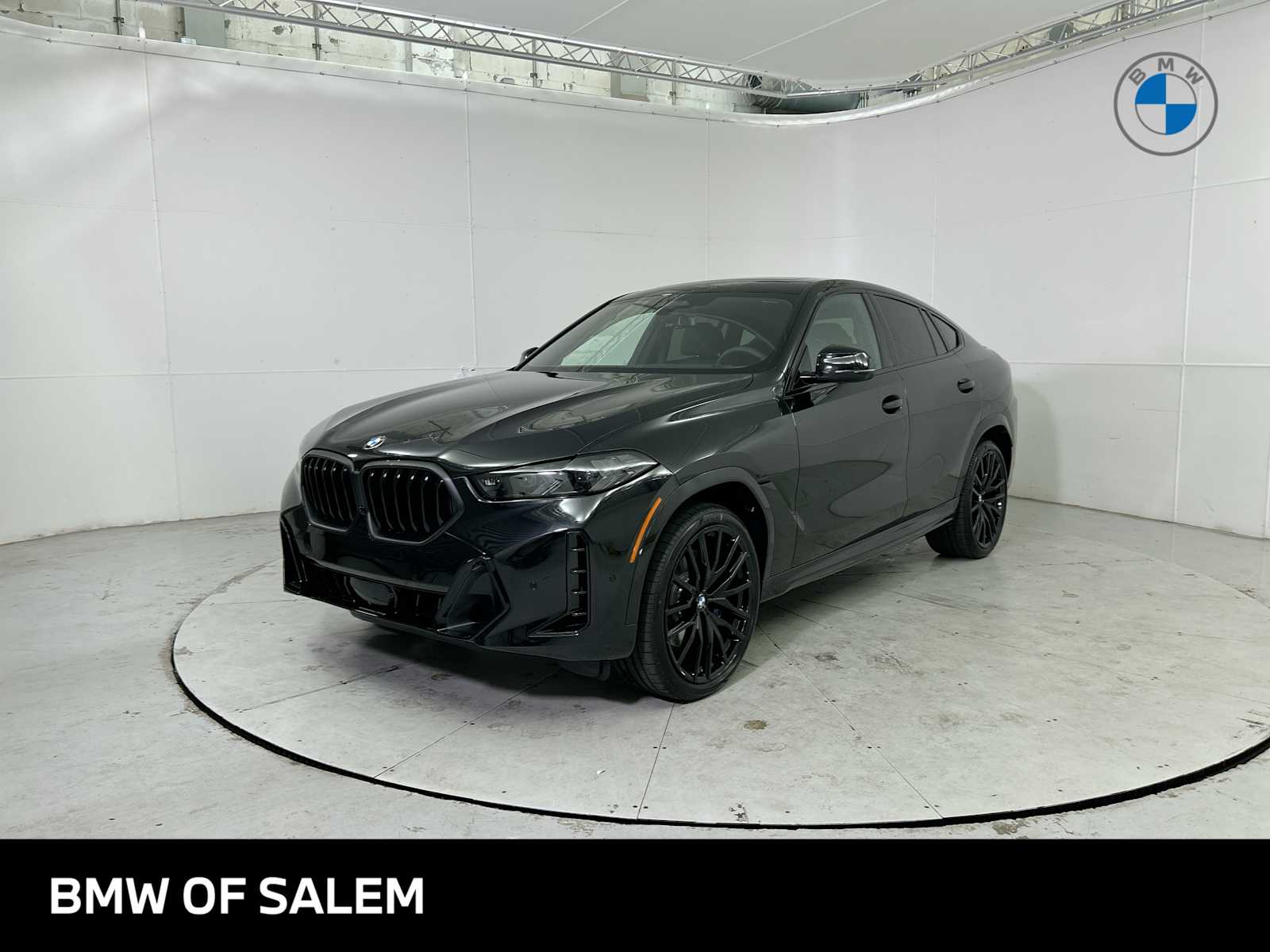2026 BMW X6