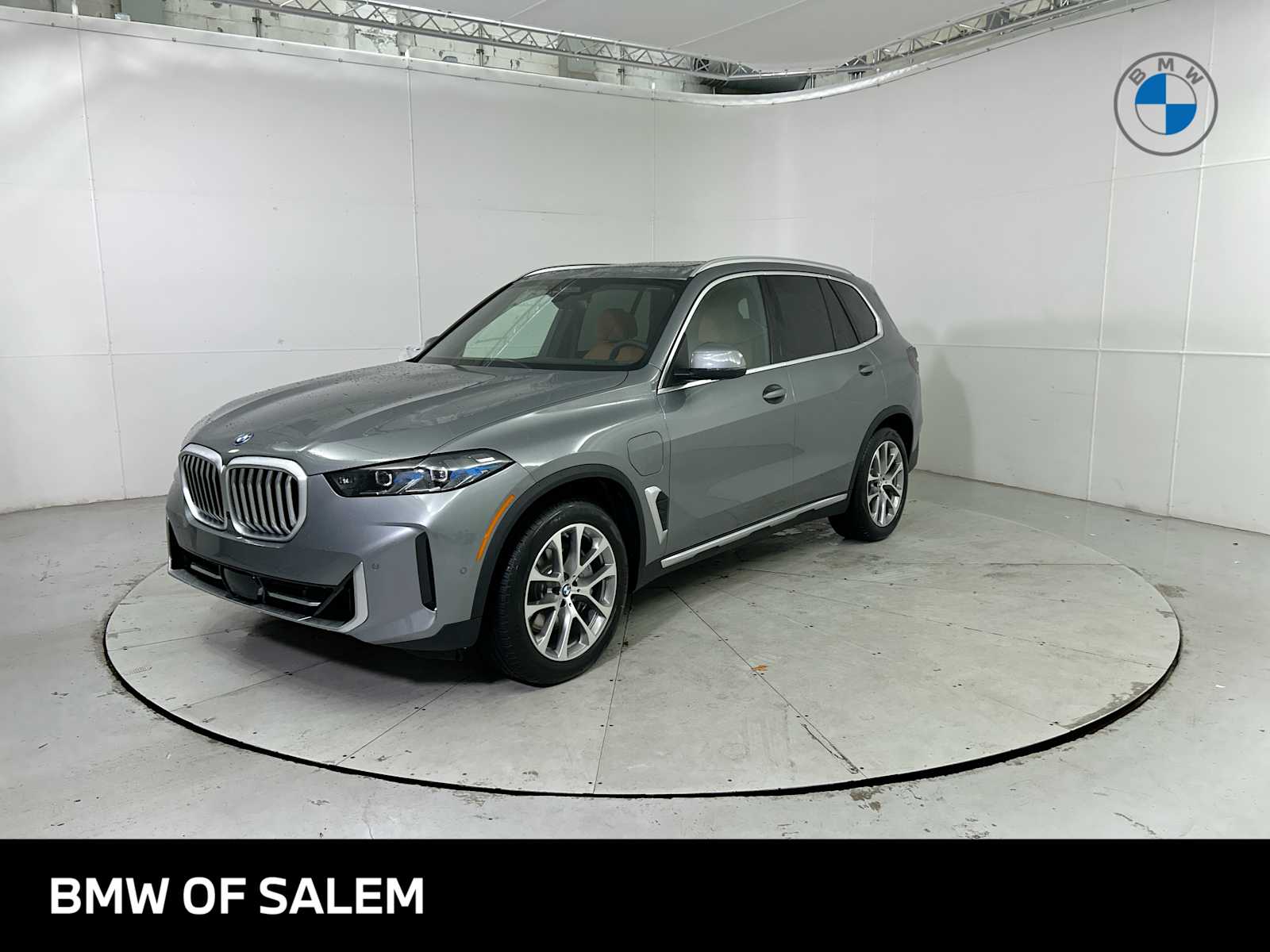 2026 BMW X5 50e's photo