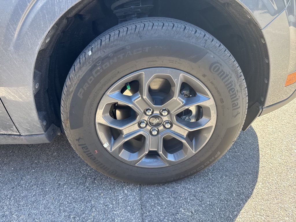 Used 2025 Ford Maverick XLT Truck