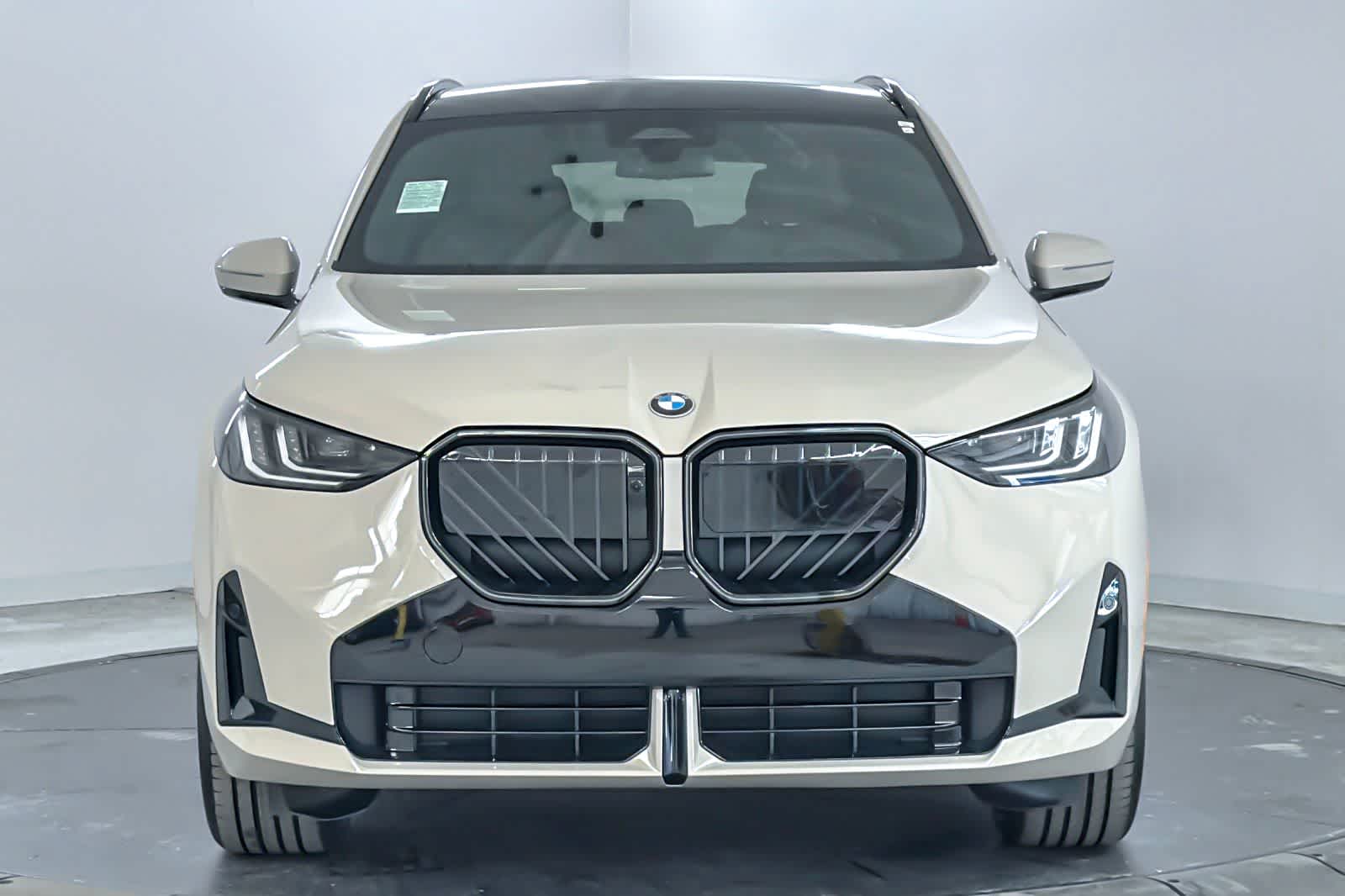 Thumbnail: 2026 BMW X3 - 10
