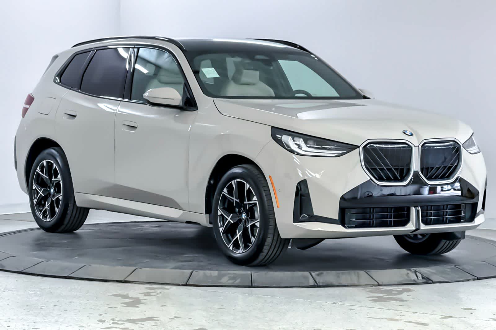 Thumbnail: 2026 BMW X3 - 9