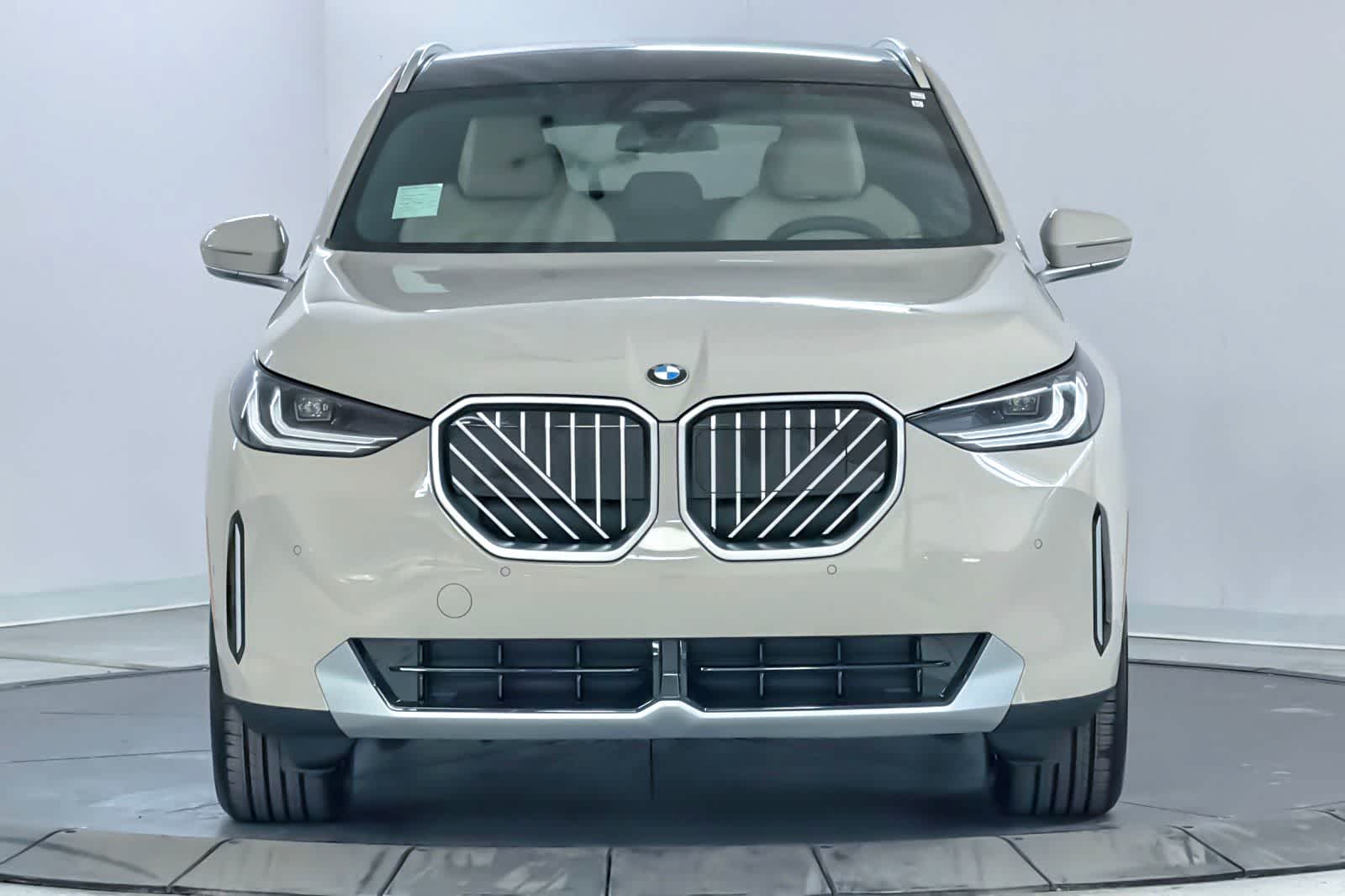 Thumbnail: 2026 BMW X3 - 10