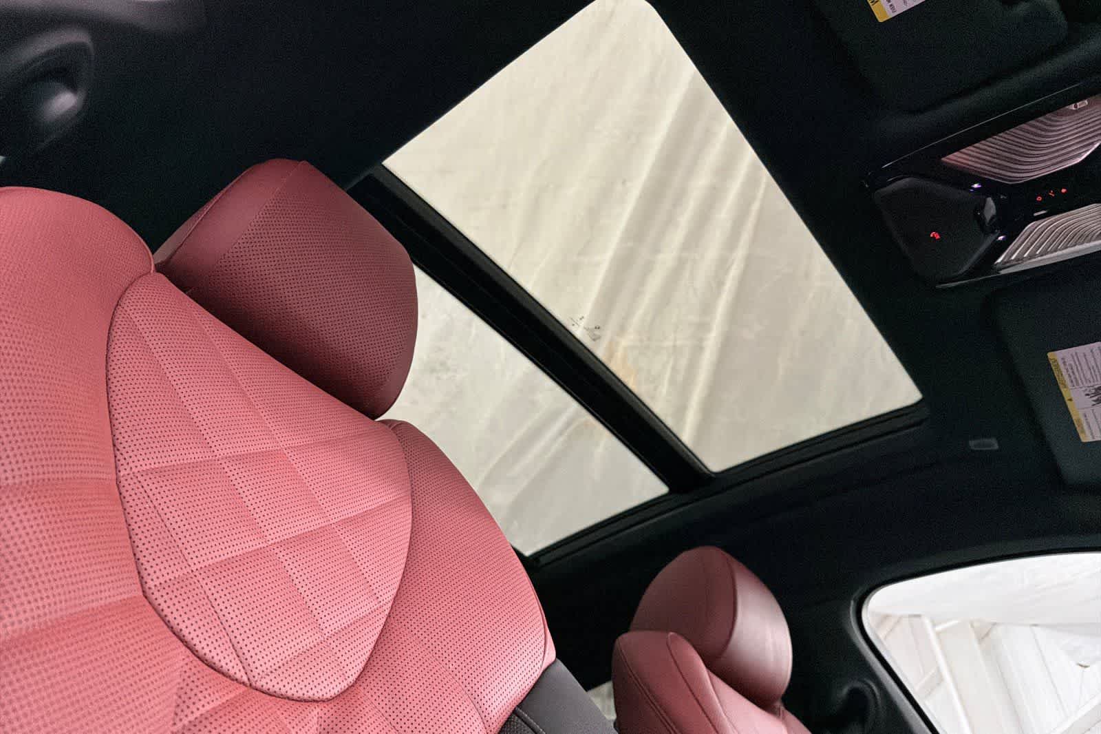 Thumbnail: 2024 BMW X6 - 17