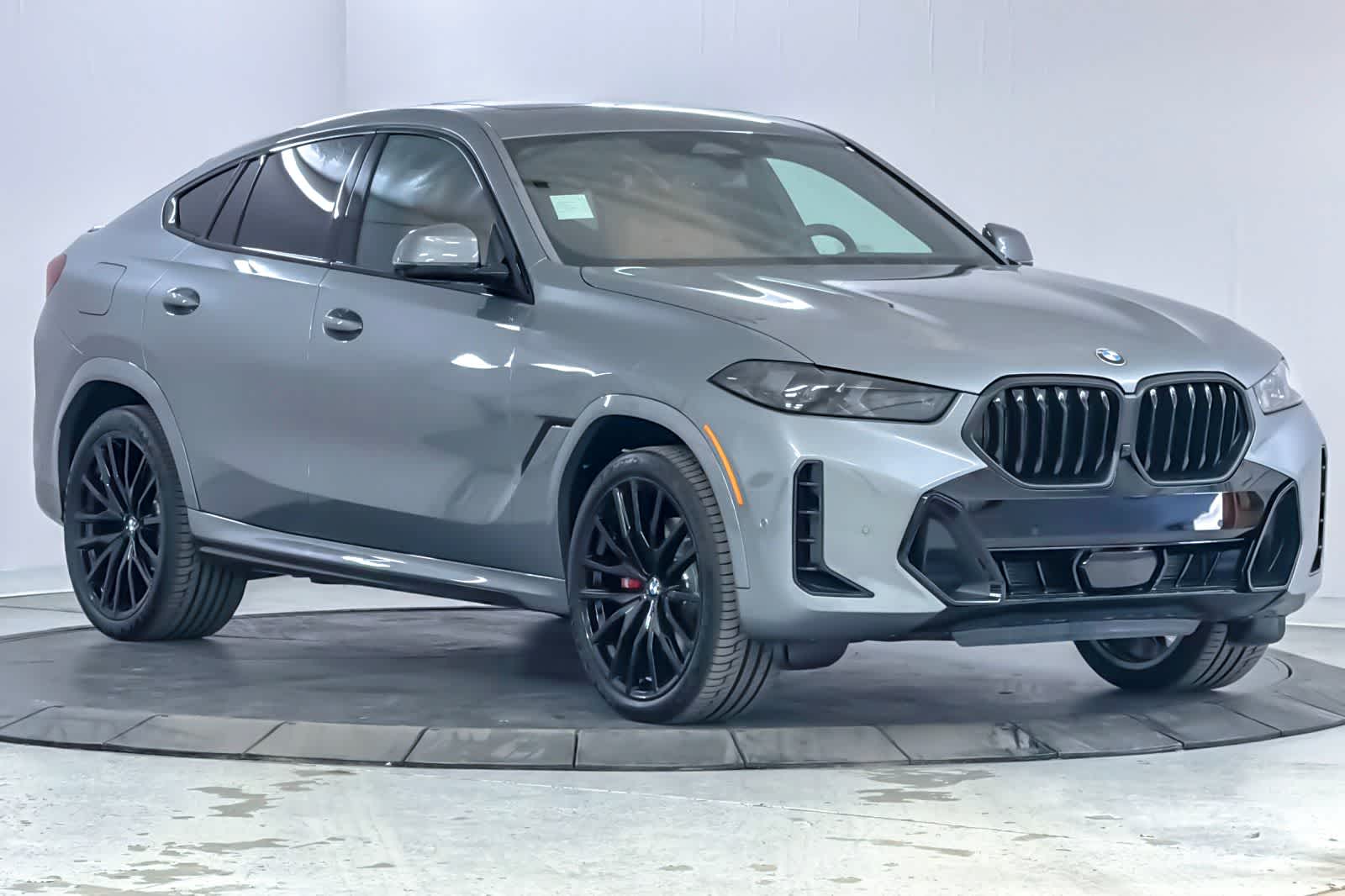 Thumbnail: 2027 BMW X6 - 9