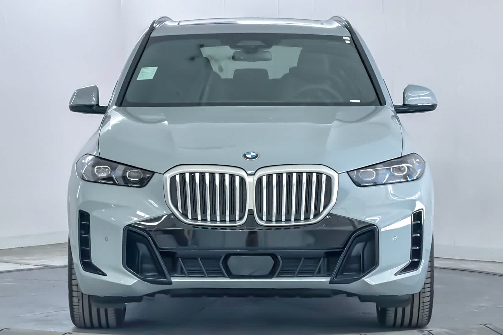 Thumbnail: 2026 BMW X5 - 10